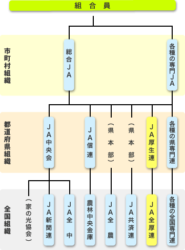 組織図