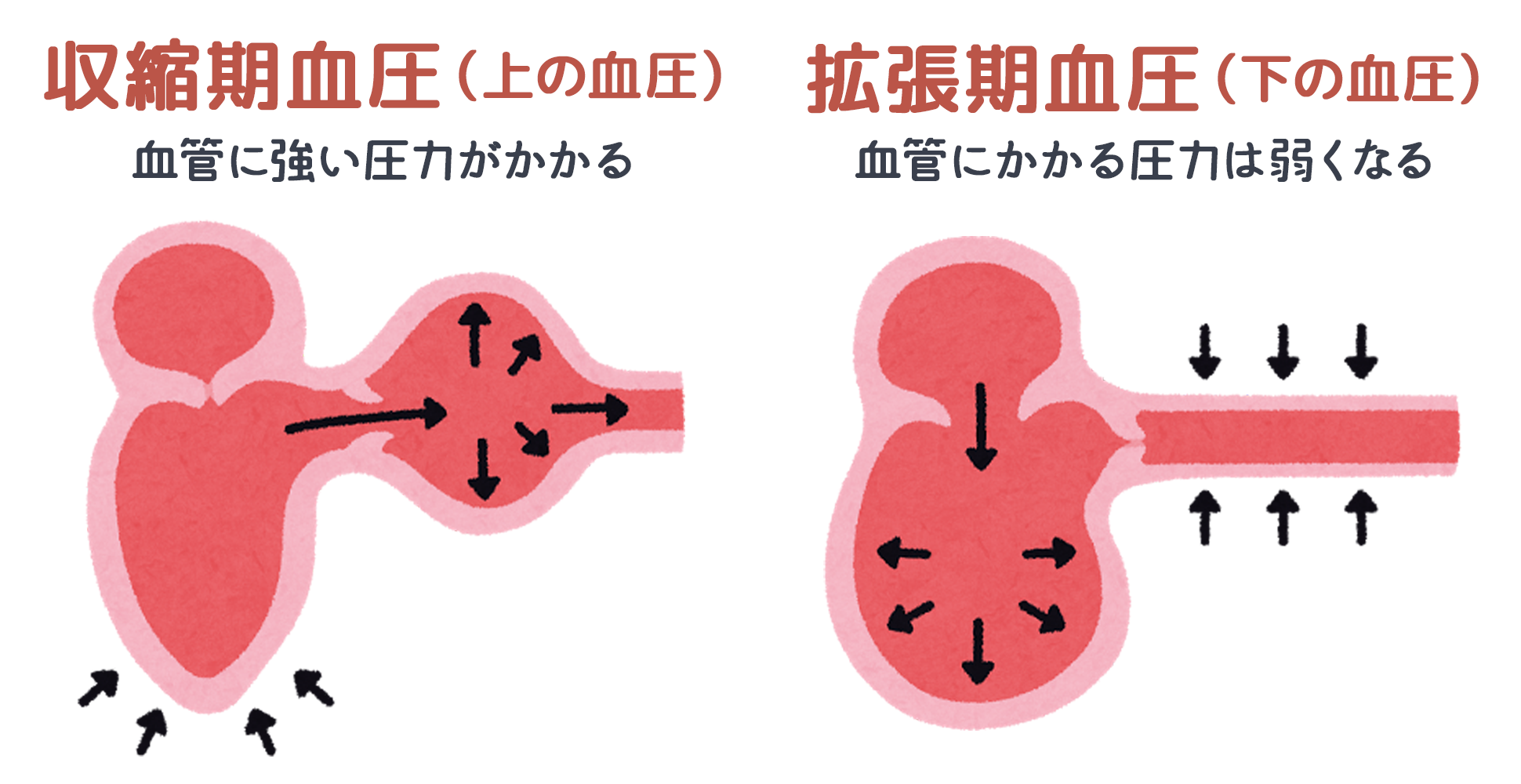 血圧 拡張 期 下の血圧が高い！拡張期高血圧とは？