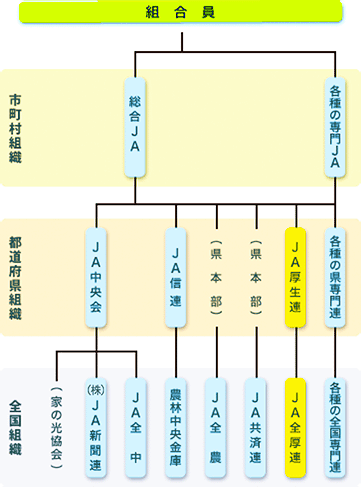 組織図